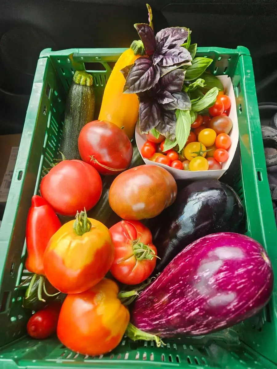 Panier de légumes frais du Navet qui Ry